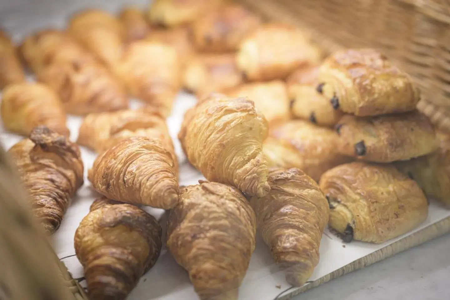 Aris Grand Place Hotel Tiere