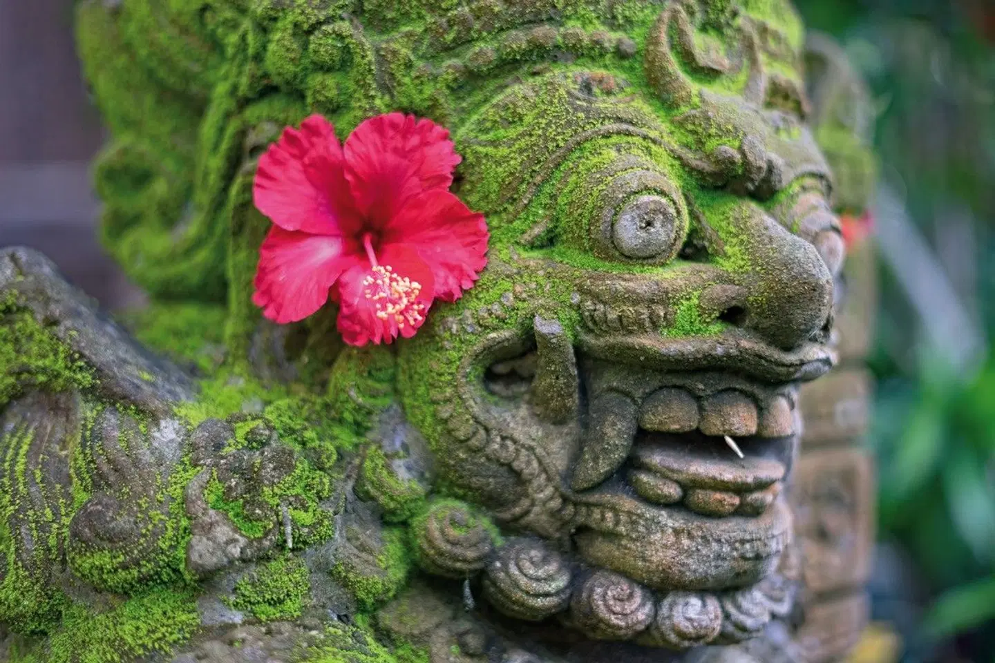 Bali zum Entschleunigen Garten