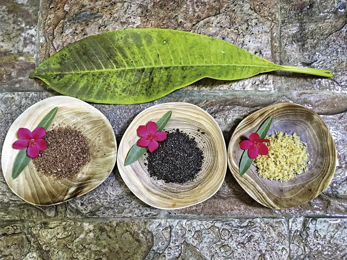 Bali zum Entschleunigen Tiere