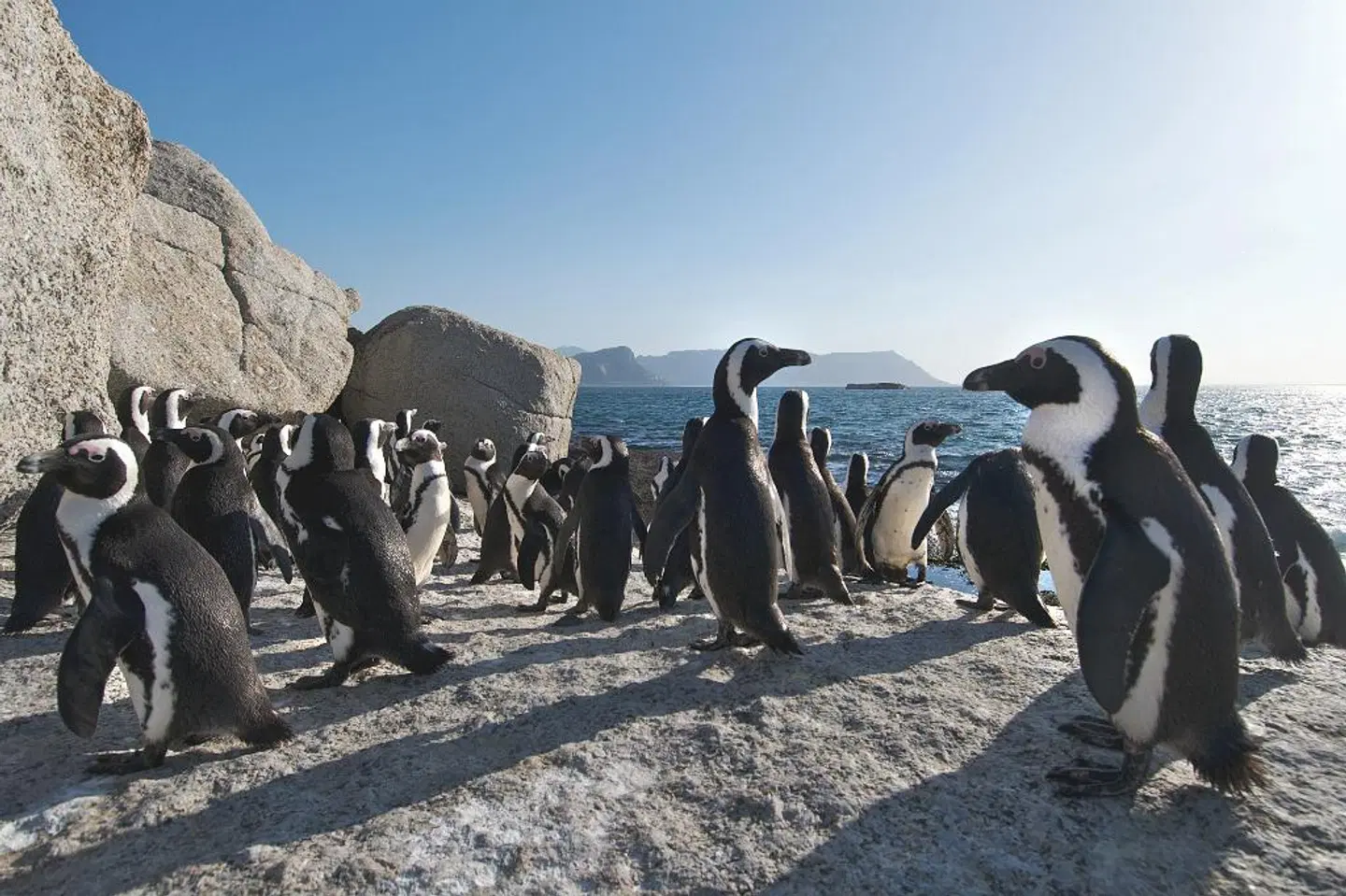 Colona Castle SPORTS_AND_LEISURE