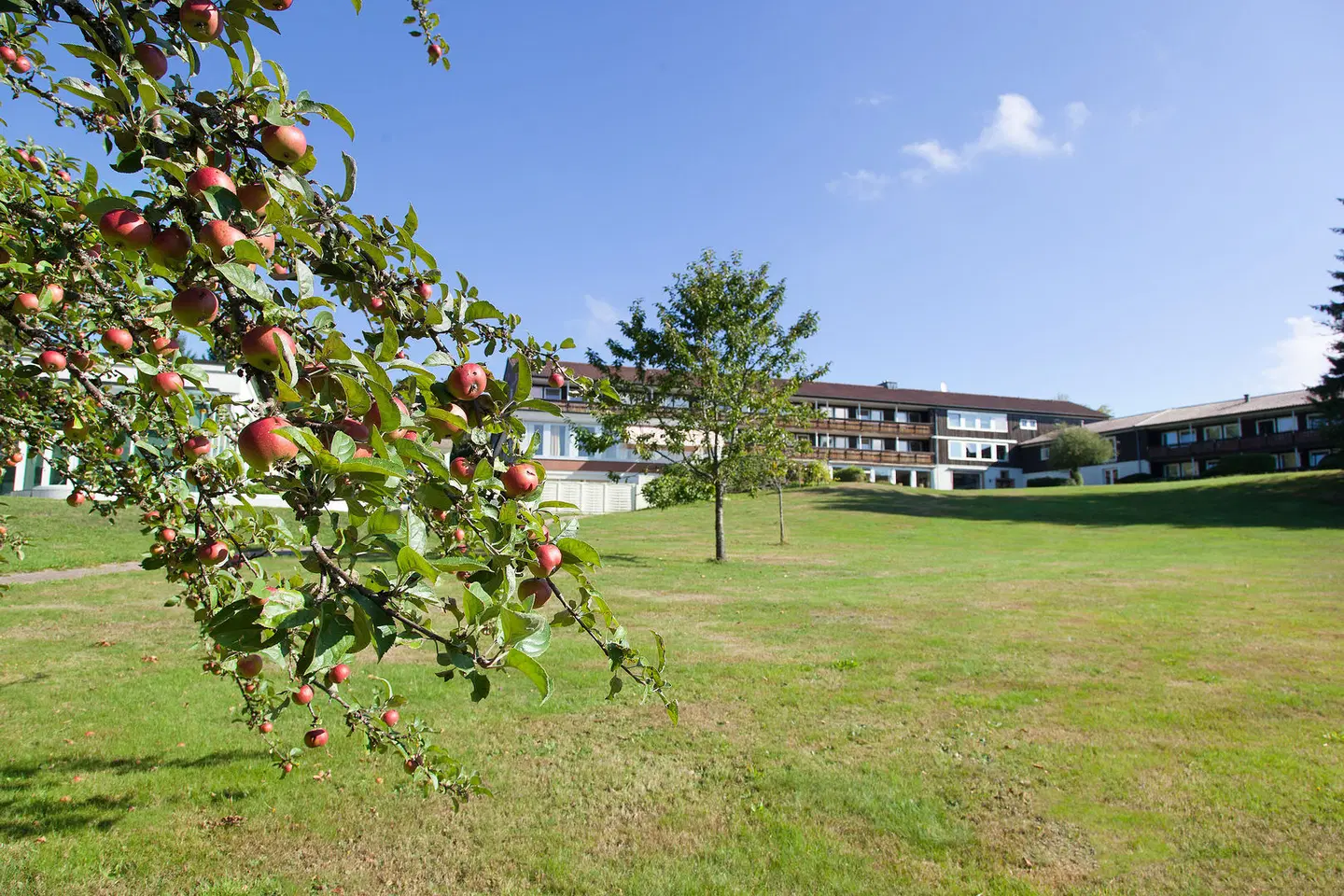 Hotel Schwarzwald Freudenstadt Garten