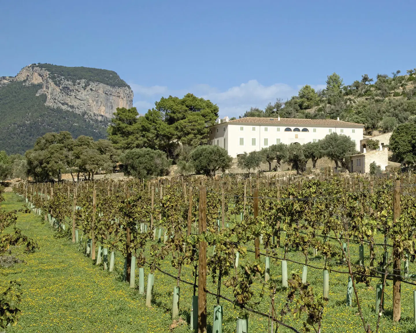 Finca Banyols, Vignette Collection by IHG LANDSCAPE