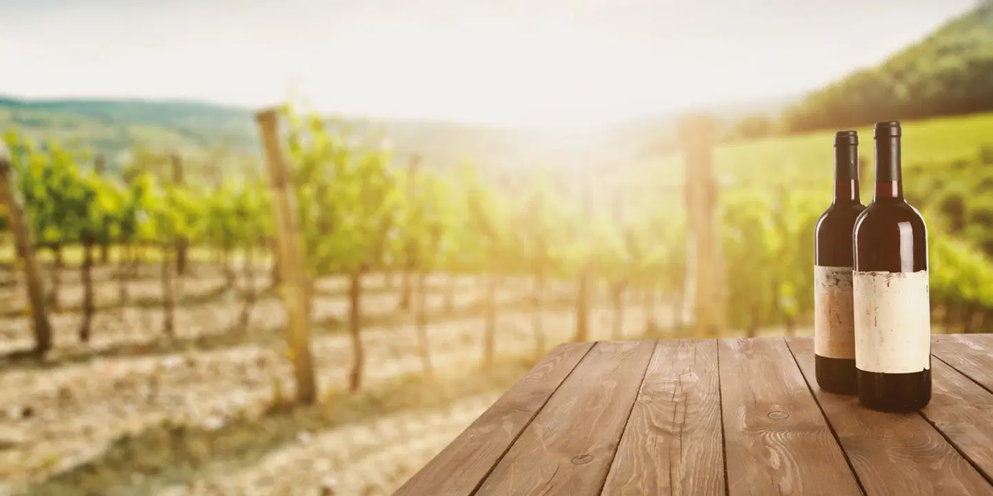 Faszination des Südens (Sydney-Adelaide) Tiere