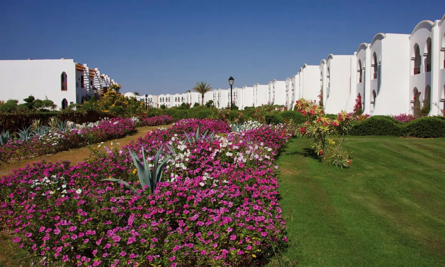 Gorgonia Beach Resort GARDEN