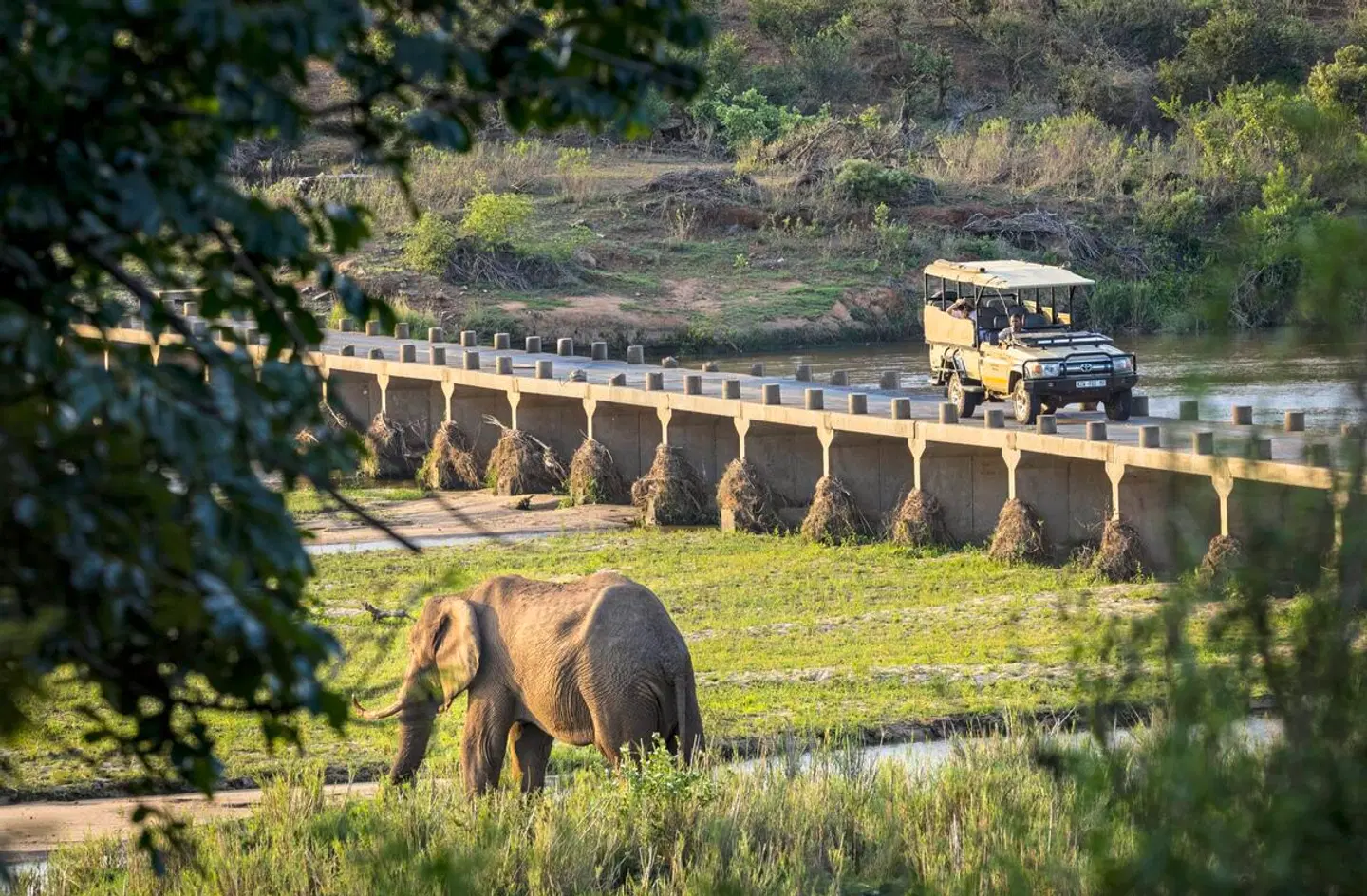 Elephant Walk Tented Camp Tiere