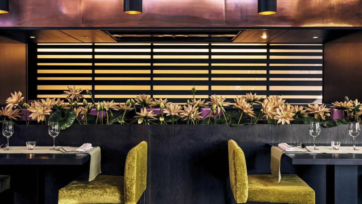 Protur Biomar Sensatori Resort Terrasse