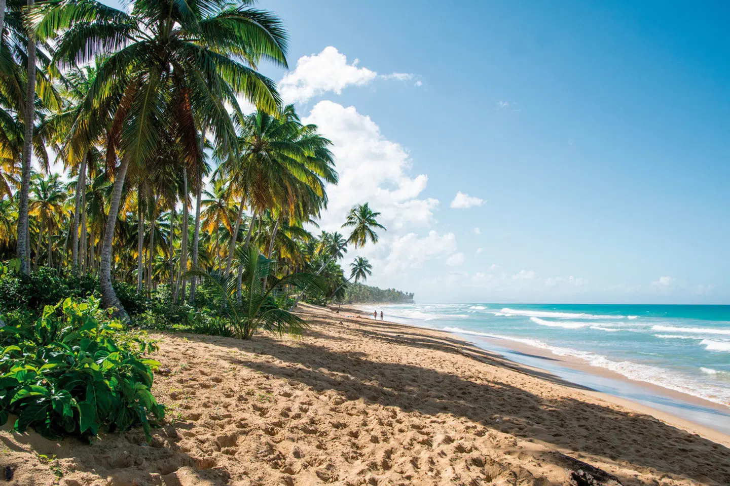 Naturabenteuer Dominikanische Republik Strand