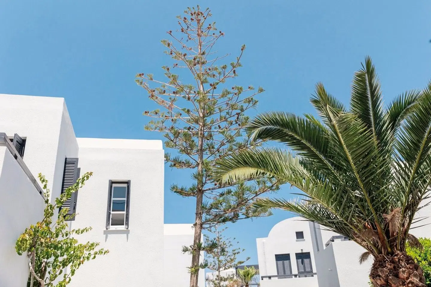 Scorpios Beach Santorini EXTERIOR