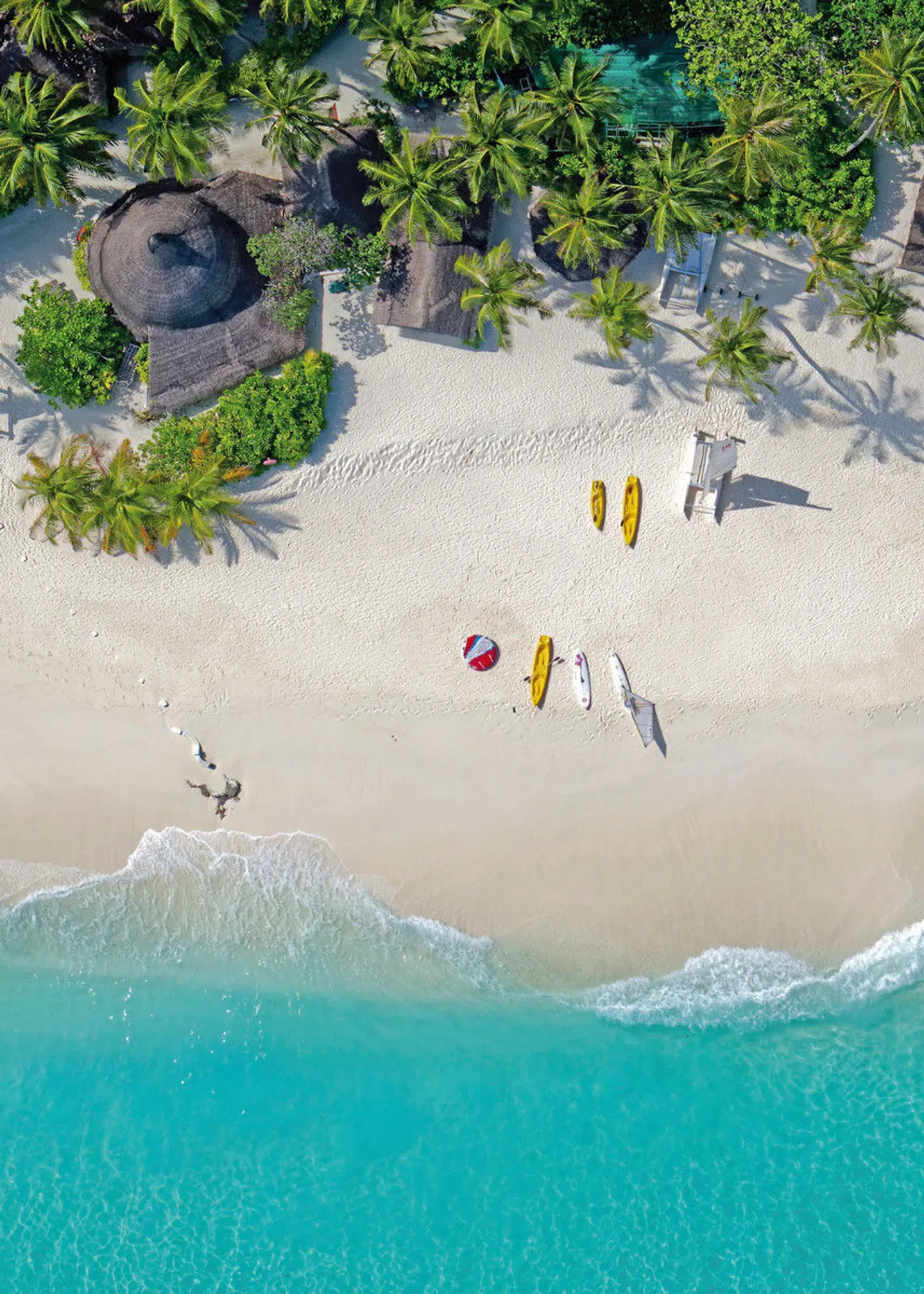 Thulhagiri Island Resort ANIMAL