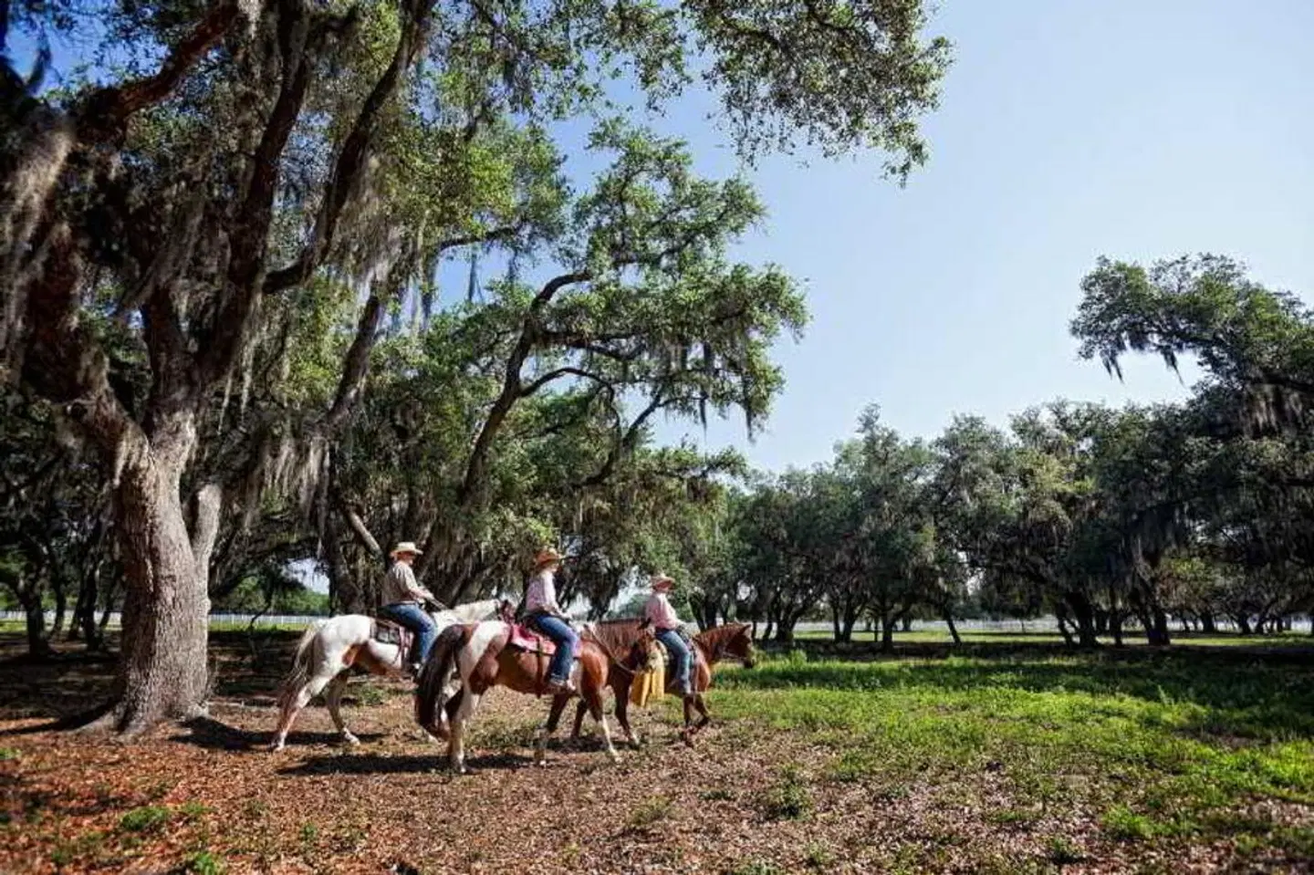 Westgate River Ranch Tiere