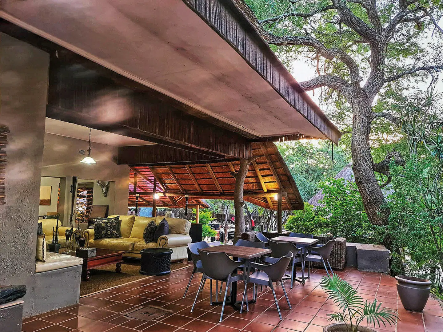 Shiduli Private Game Lodge Bar