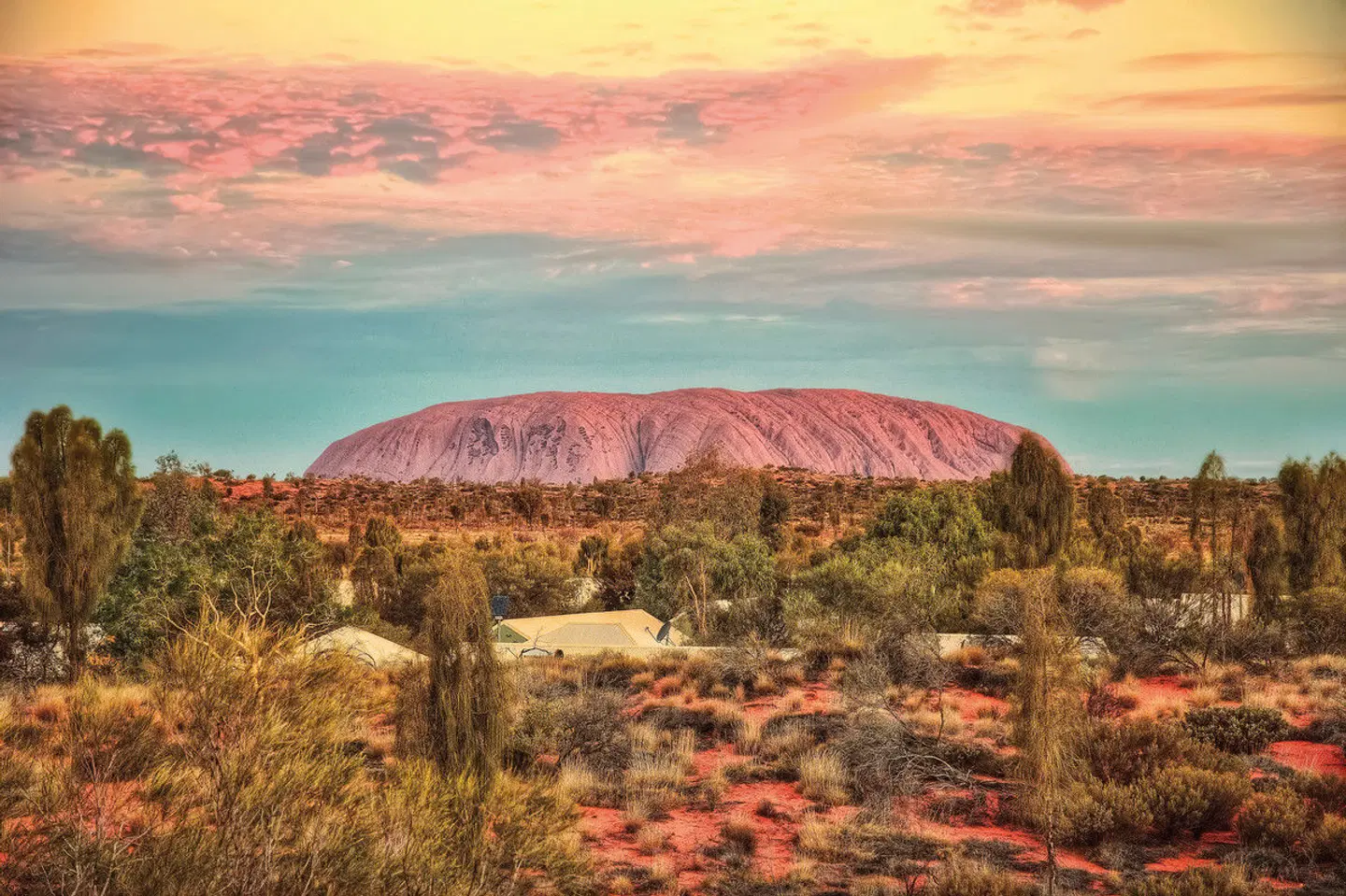 Magische Momente im Herzen Australiens Tiere