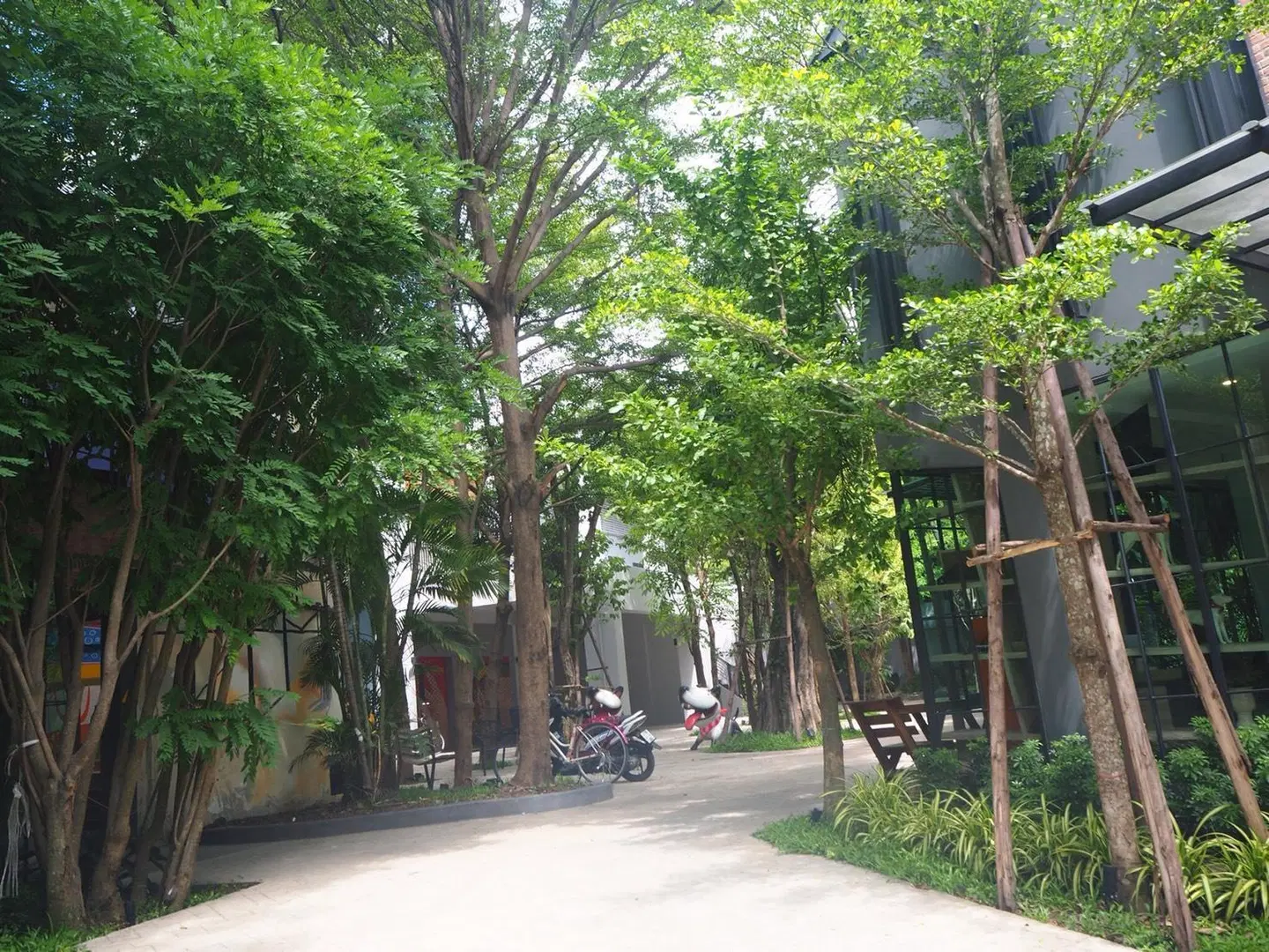 BB House Chaingmai Garten