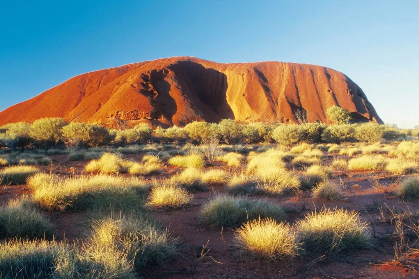 Rotes Zentrum & Kings Canyon LANDSCAPE