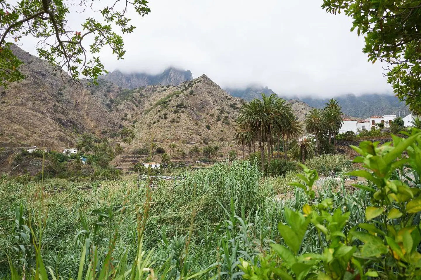 Finca Piñero LANDSCAPE