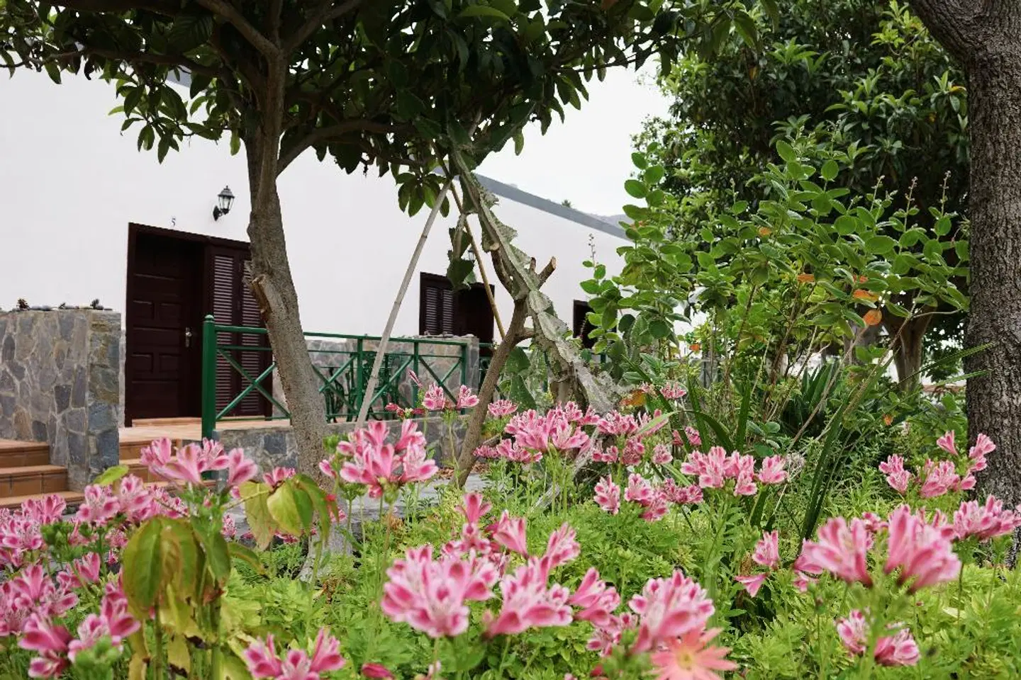 Finca Piñero Garten