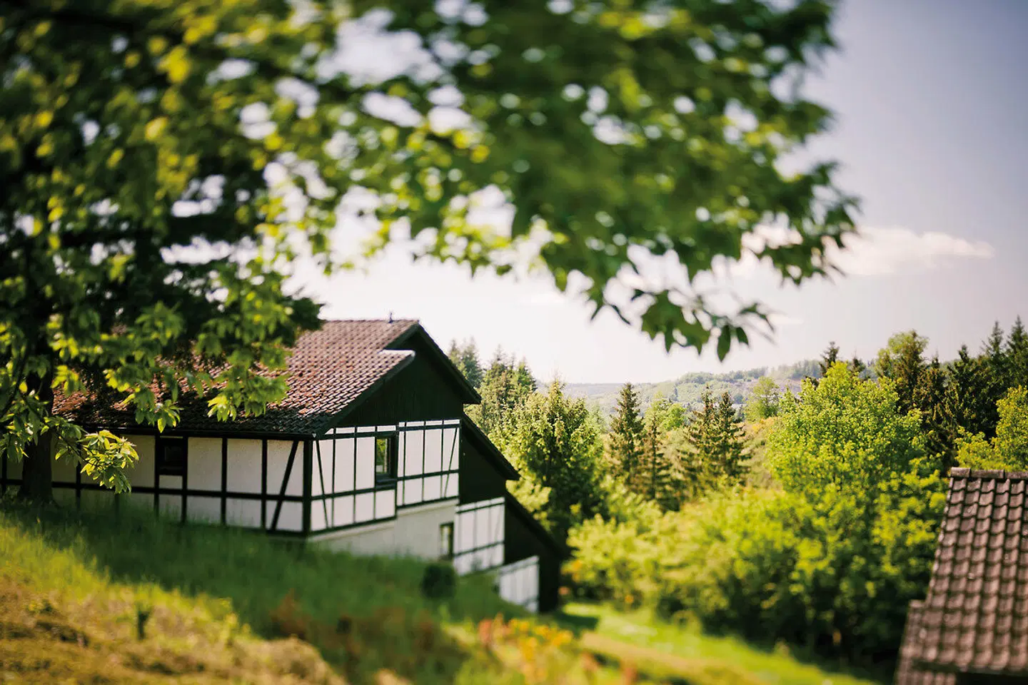 Sporthotel Grafenwald Garten