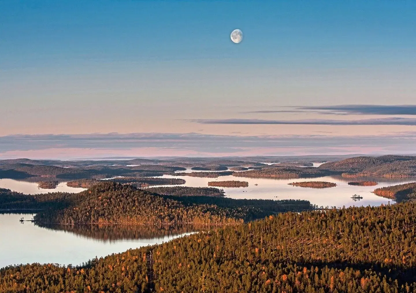 Lapplands Land & Leute Tiere