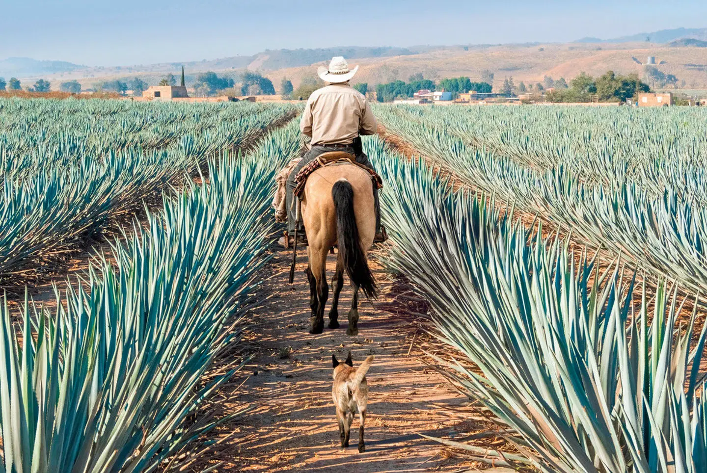 Authentisches Mexiko Deluxe LANDSCAPE