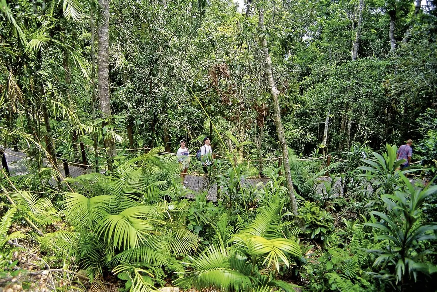 Sydney, Rock & Reef LANDSCAPE