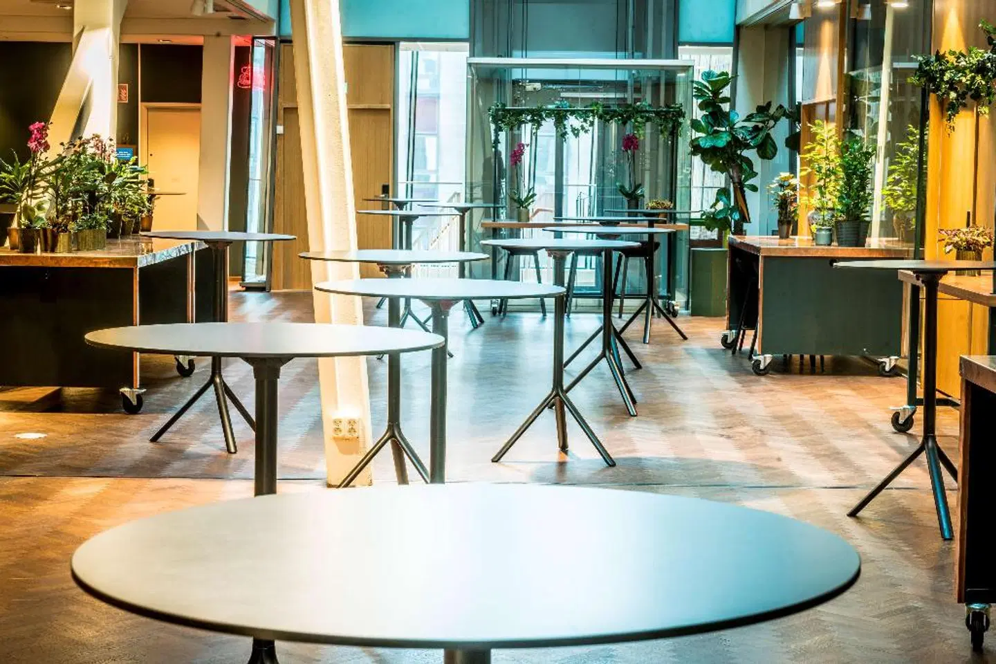 Hotel Scandic Continental LOUNGE_LOBBY