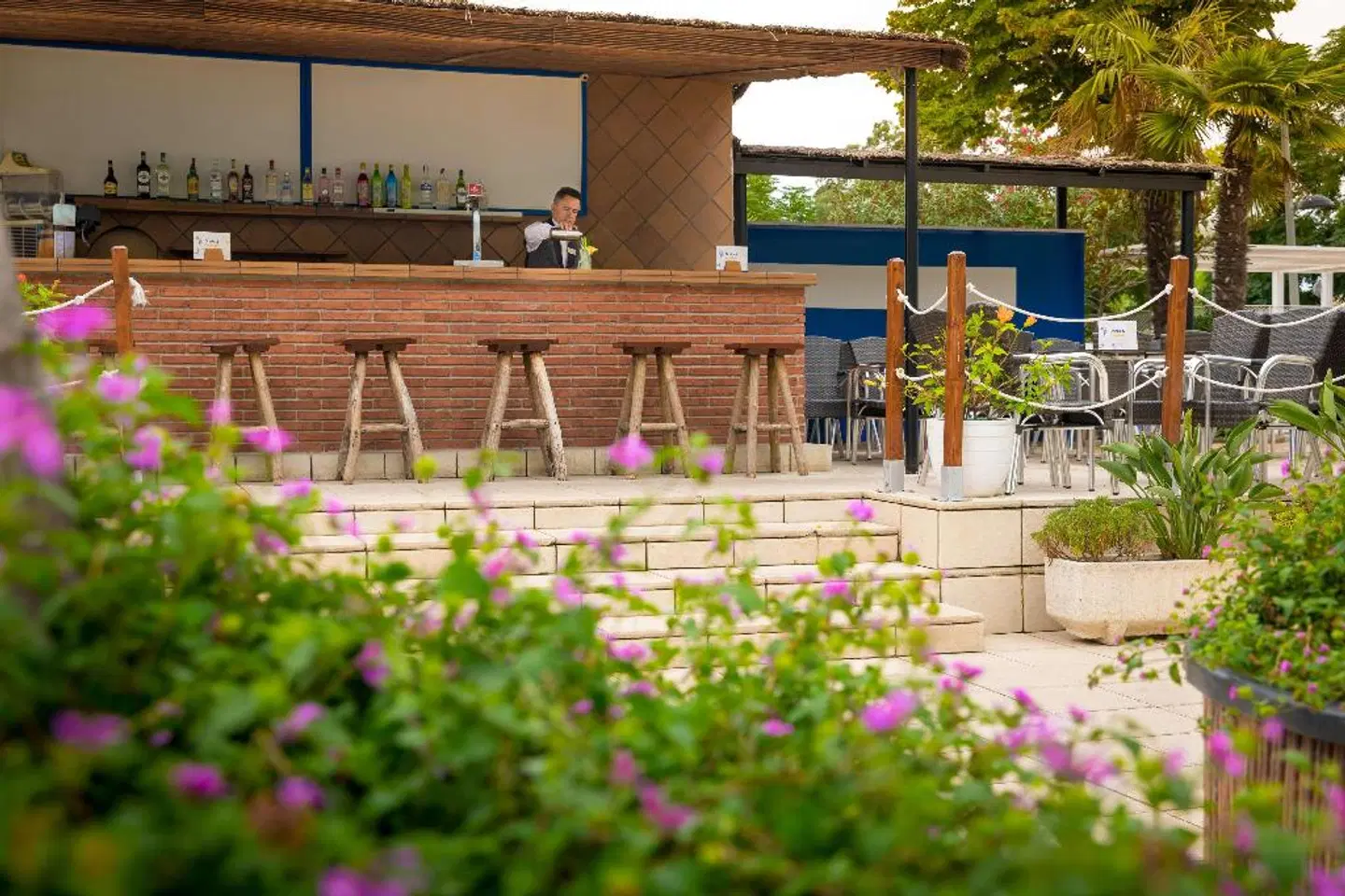 htop Platja Park Bar