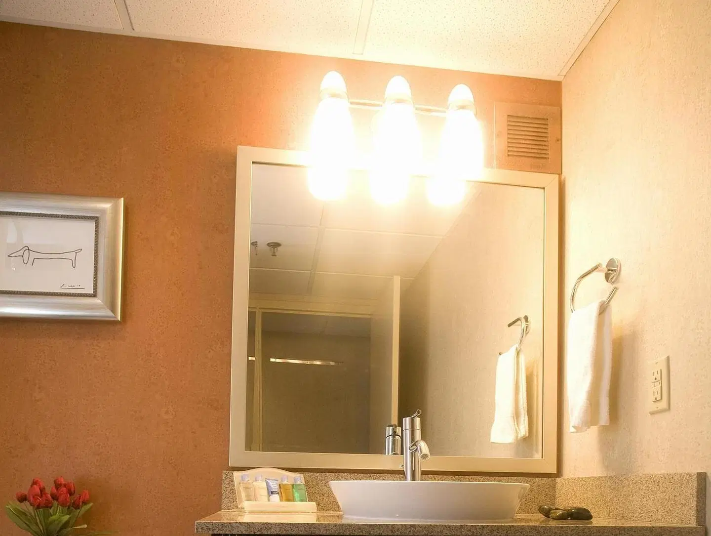 DoubleTree by Hilton Springfield BATHROOM