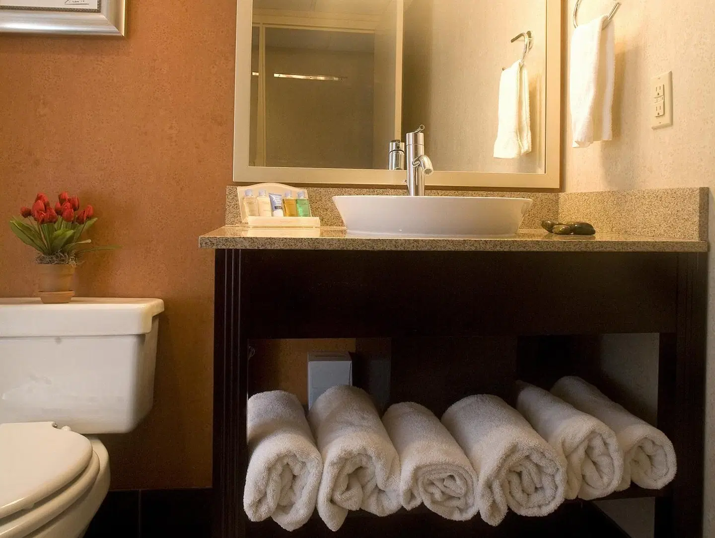 DoubleTree by Hilton Springfield BATHROOM