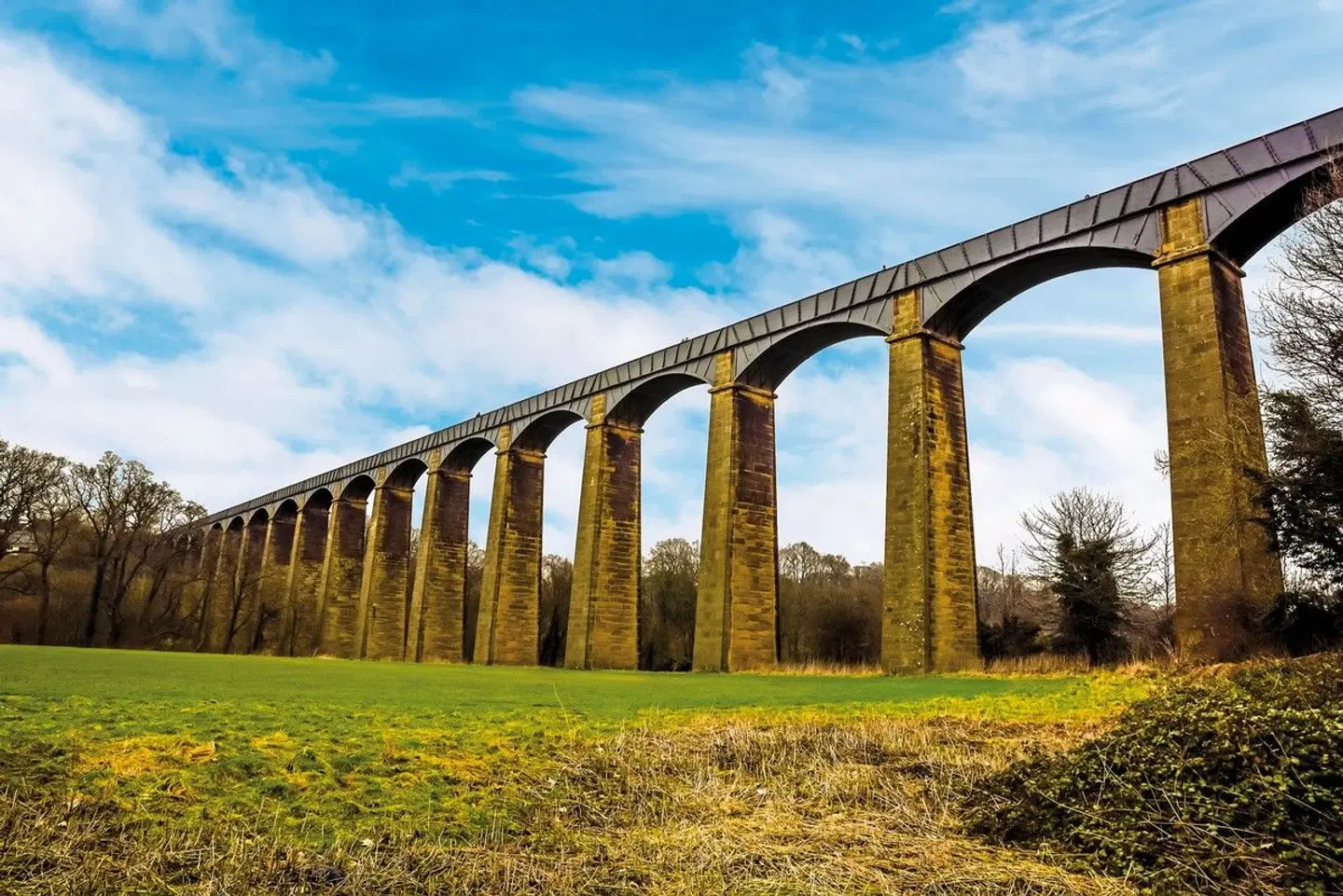 Geheimtipp Wales Garten