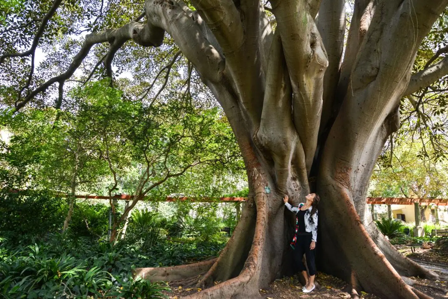 More Quarters LANDSCAPE