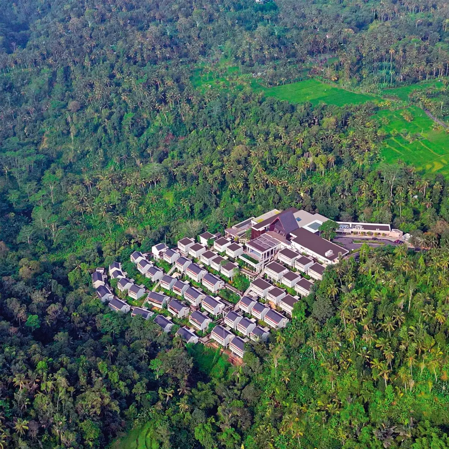 Anantara Ubud Bali Resort LANDSCAPE