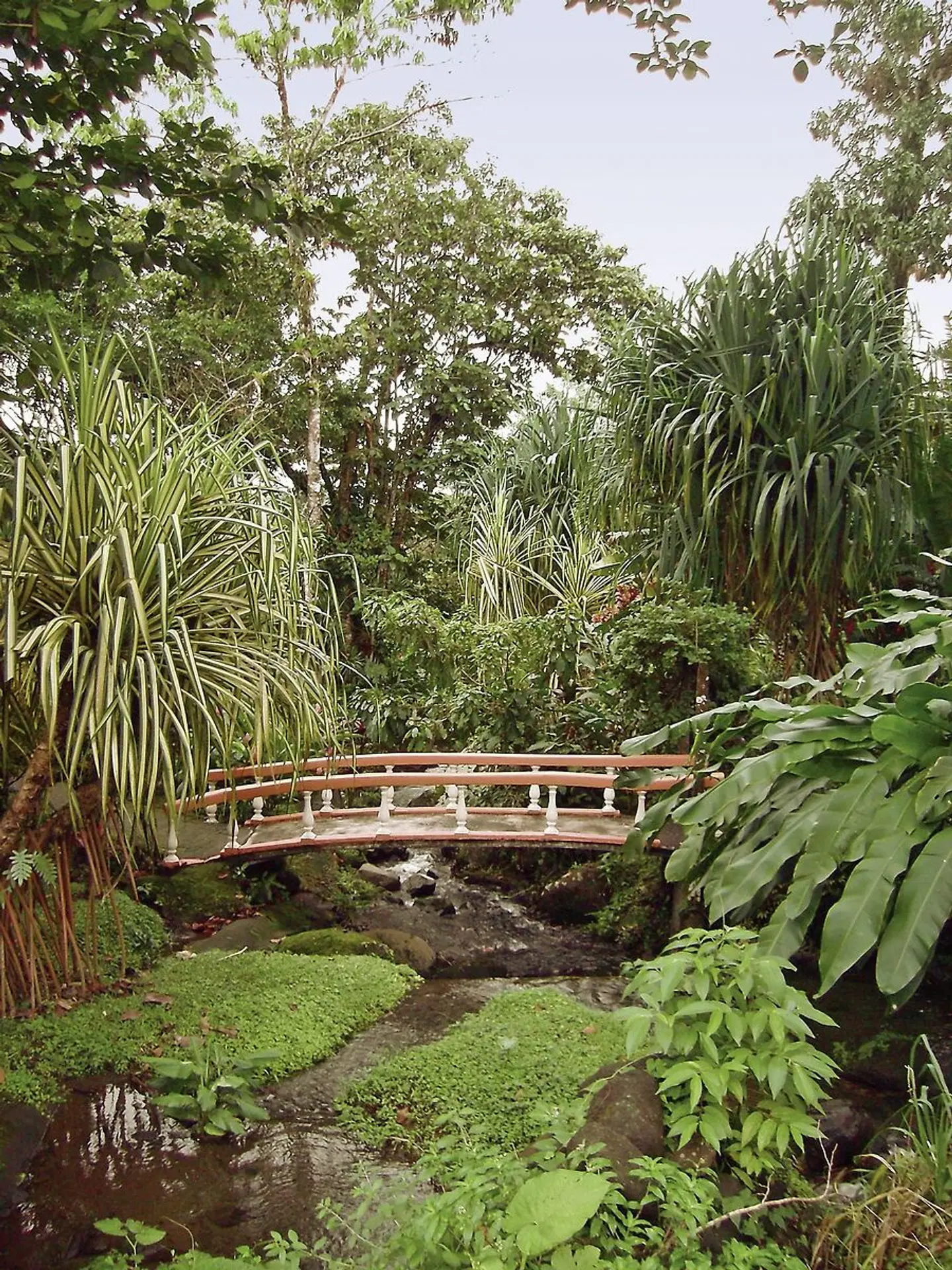 Nationalpark Arenal Garten