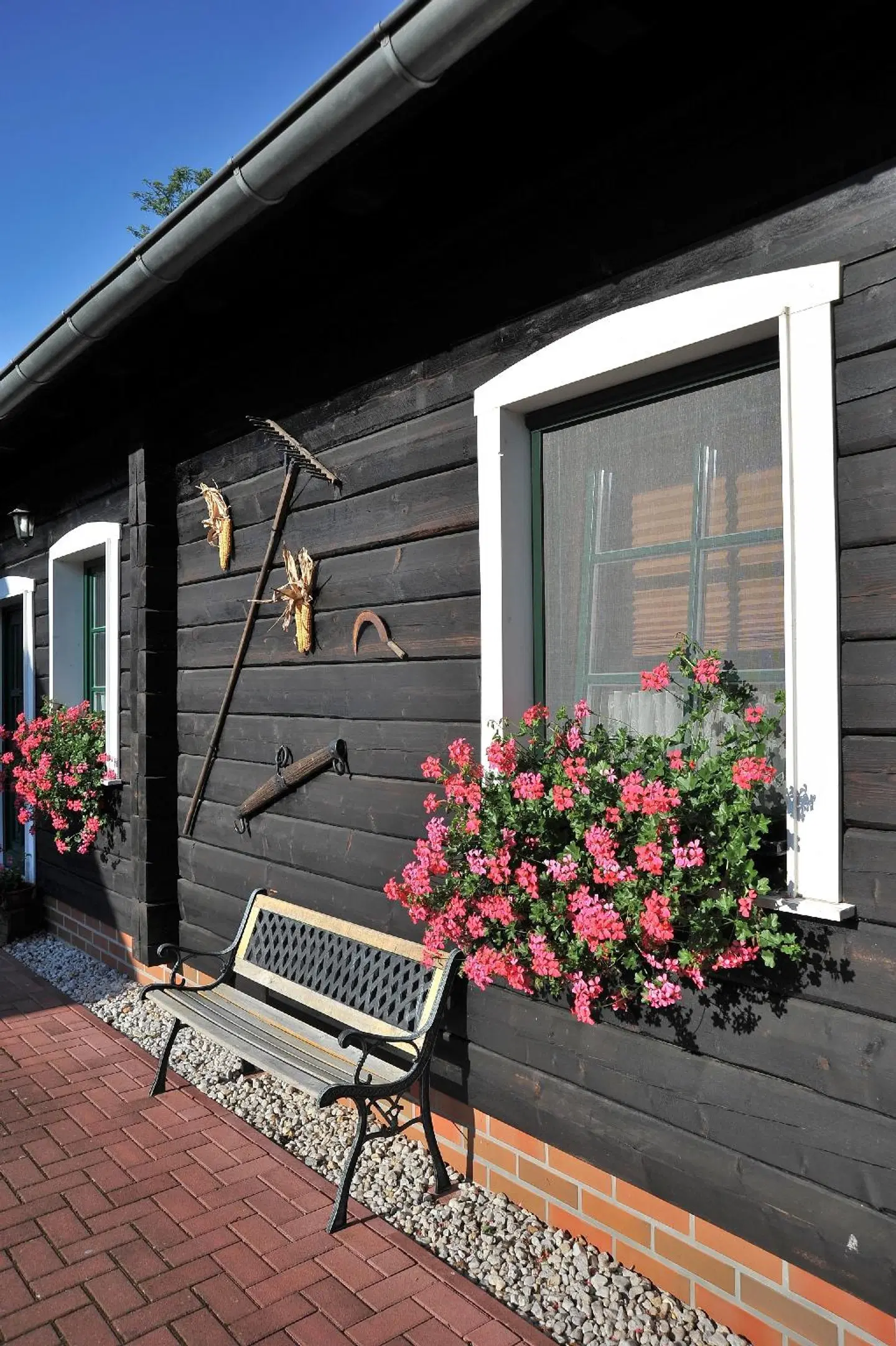 Pension Kräutermühlenhof Burg Terrasse