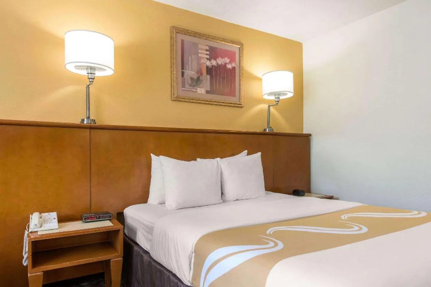 Quality Inn & Suites Near The Theme Parks ROOM_EXAMPLE