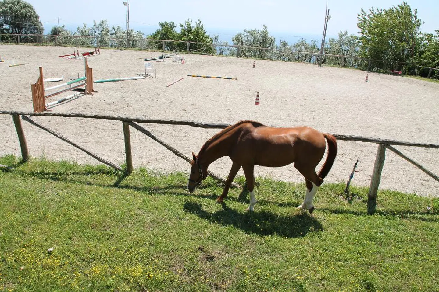 Agriturismo Piccolo Paradiso Tiere