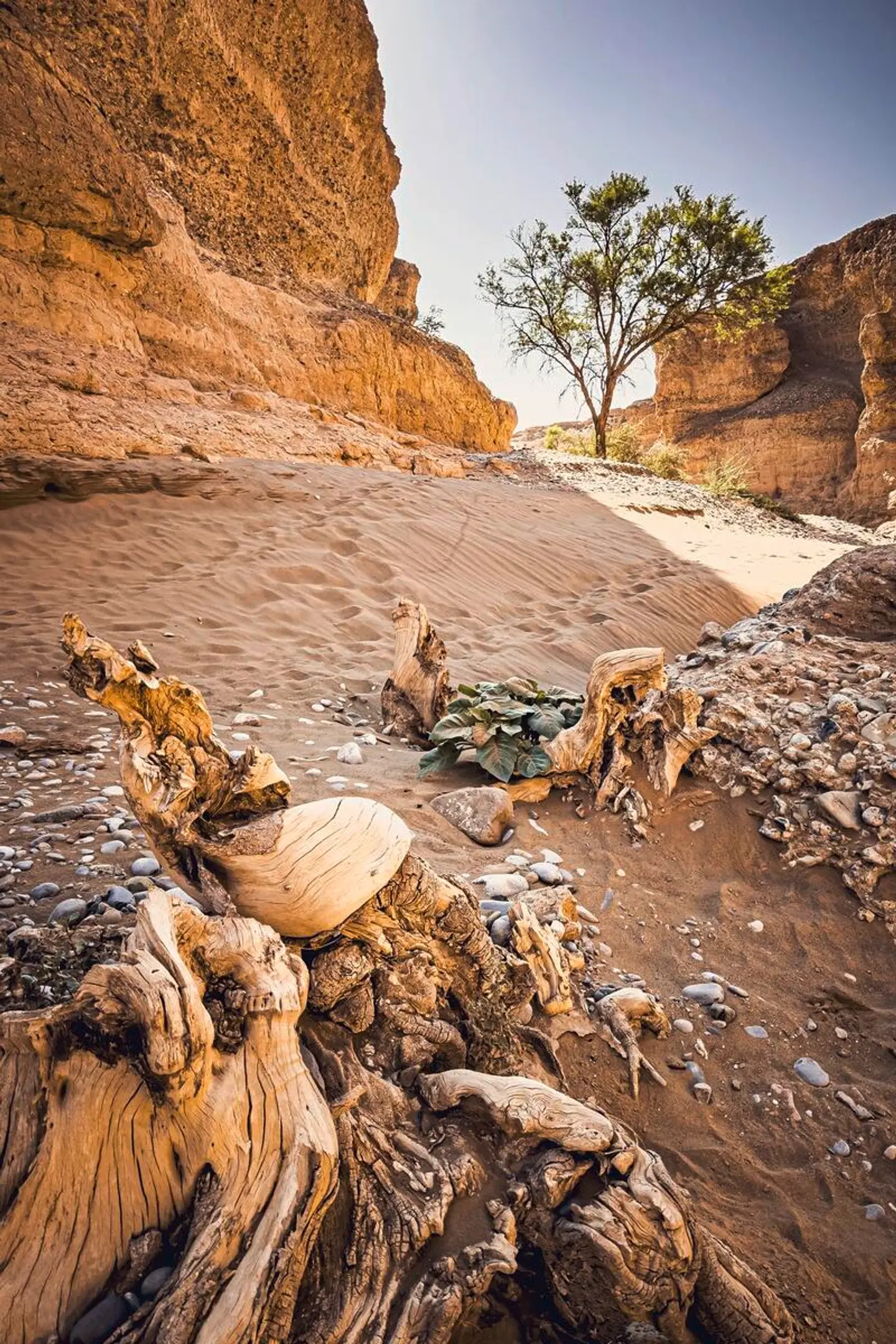 Namibia Entdeckungstour (nördliche Richtung) Tiere
