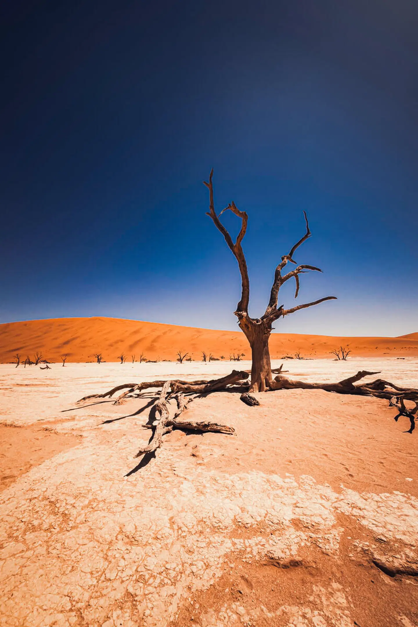 Namibia Entdeckungstour (nördliche Richtung) Strand