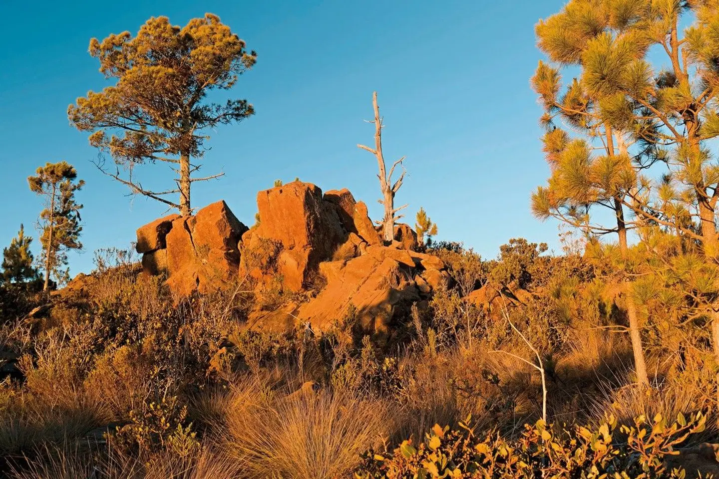 Naturabenteuer Dominikanische Republik LANDSCAPE