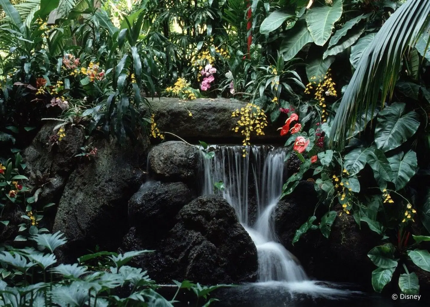 Disney's Polynesian Resort Garten