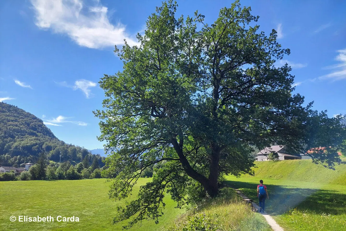 Wanderreise mit Hütte Bad Ischl LANDSCAPE