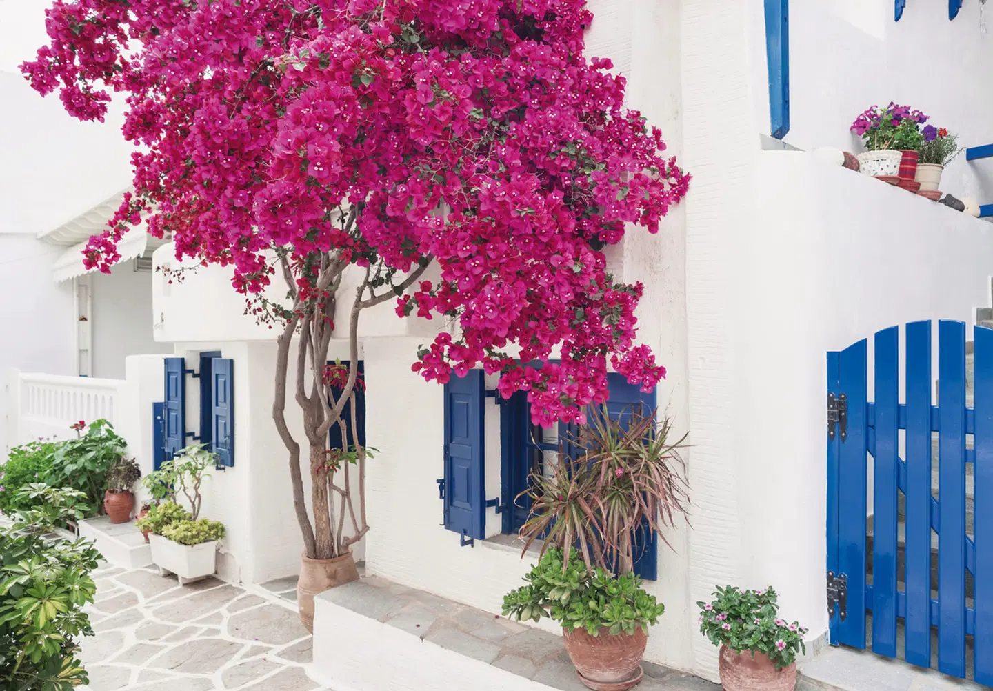 Kykladen-Inselhüpfen: Santorin, Mykonos, Paros, Naxos EXTERIOR