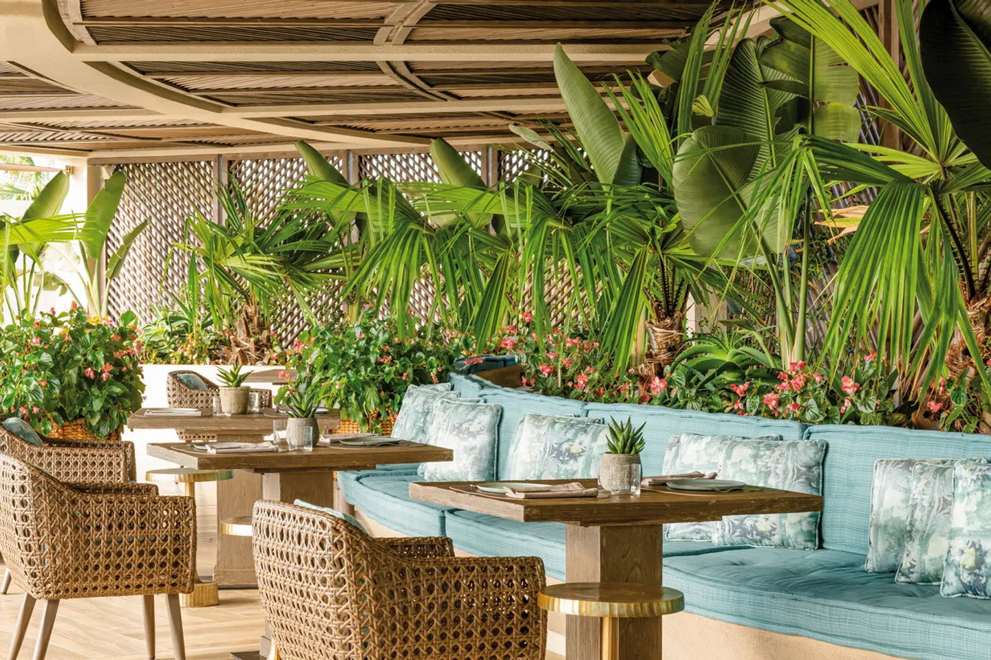 Porto Sani Terrasse