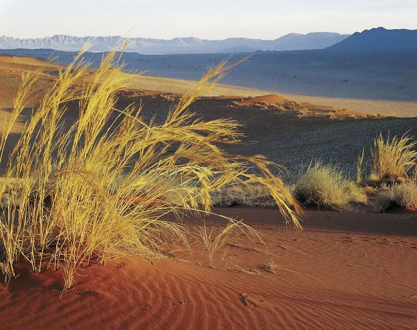 Namibia Classic Standard LANDSCAPE