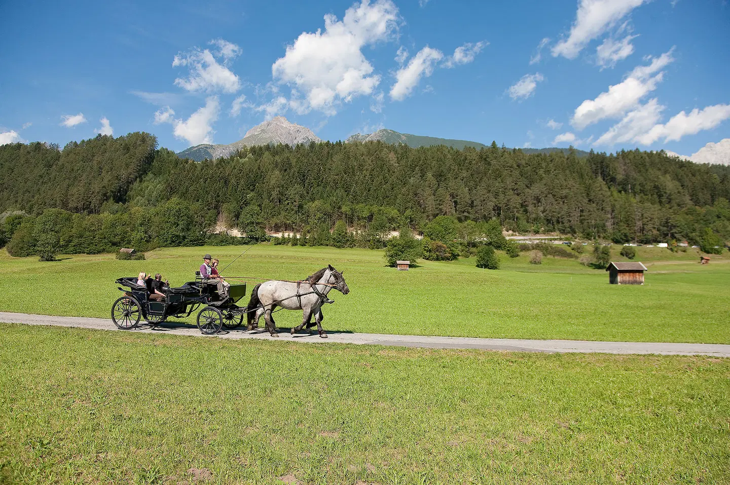 Hotel Auderer Tiere
