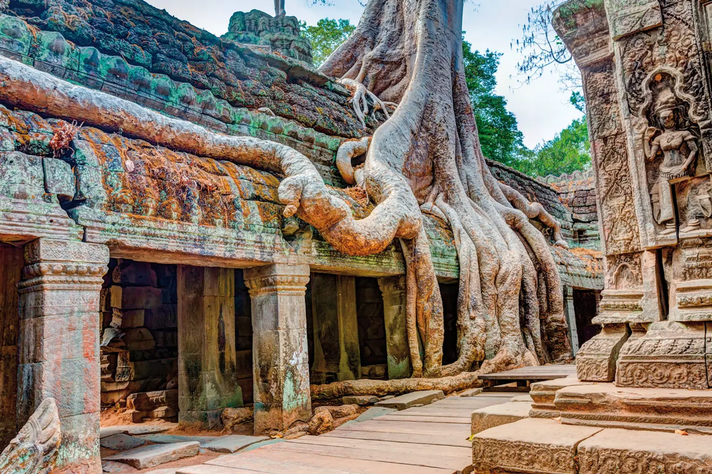Kambodschas Tempel und Traumstrände (Privatreise) Tiere