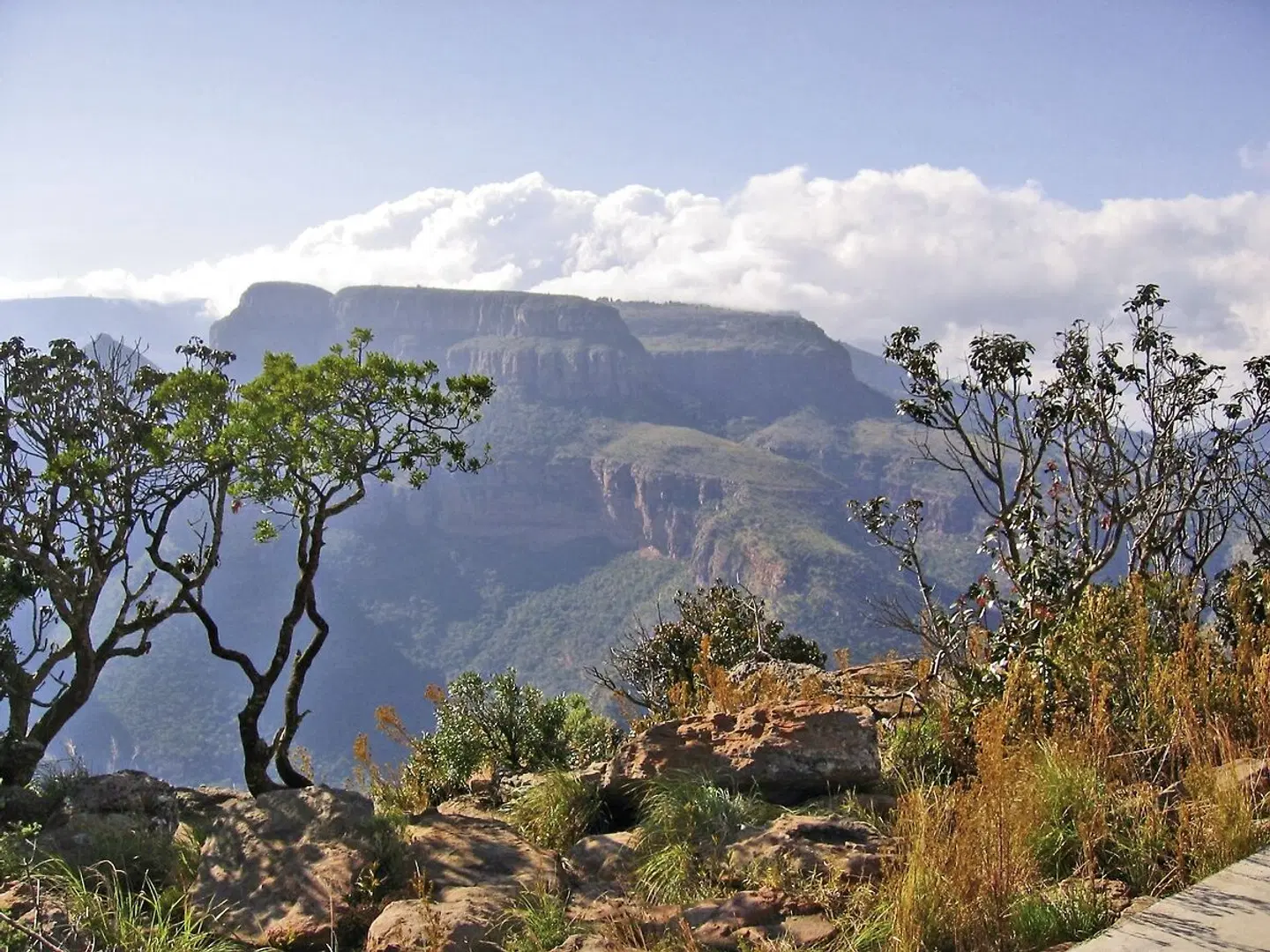 Best of South Africa (Privatreise) Johannesburg - Kapstadt LANDSCAPE