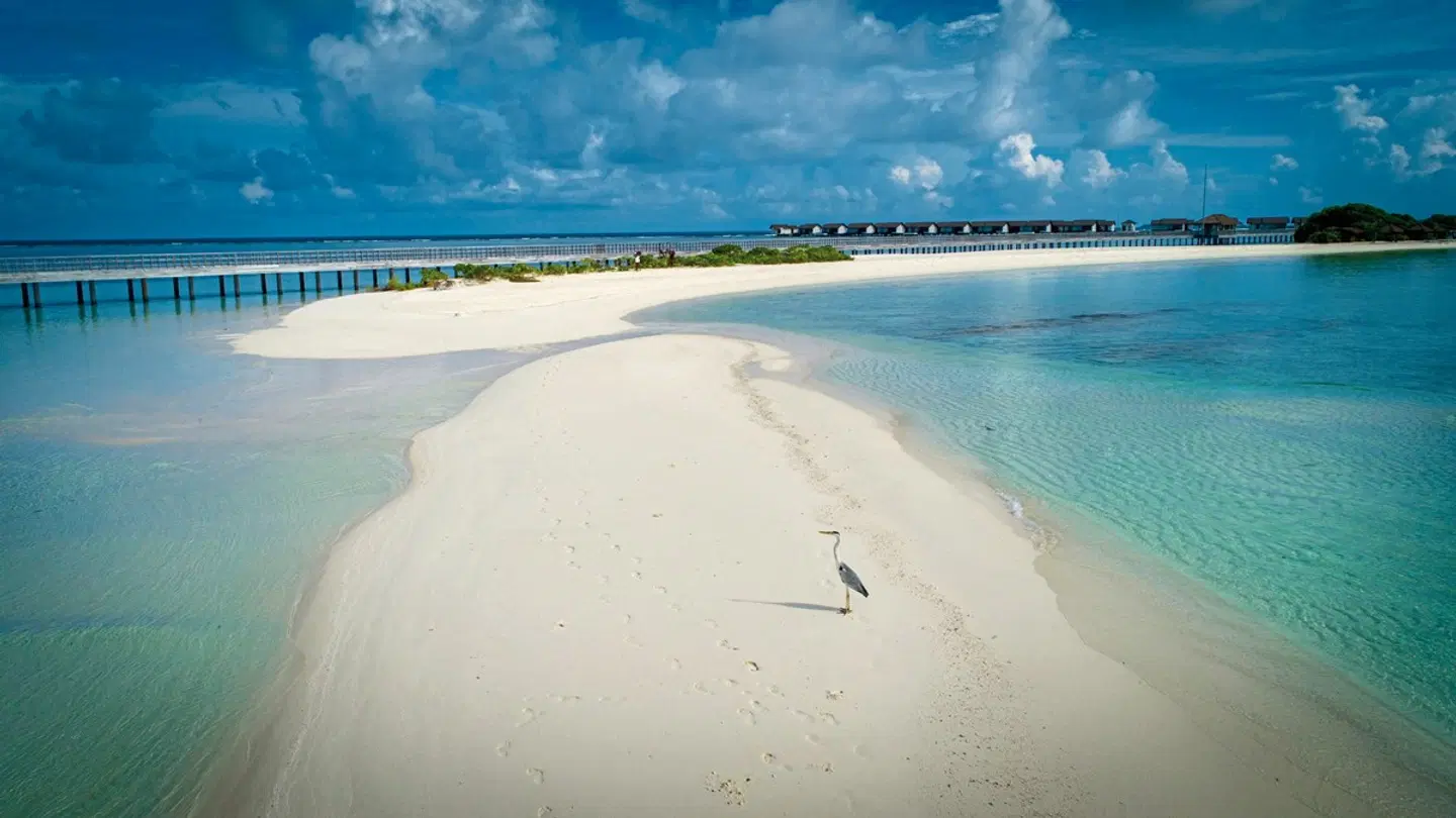 The Residence Maldives at Dhigurah Strand