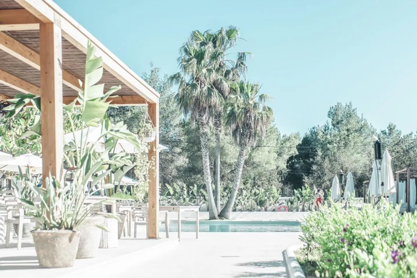 Las Mimosas Boutique & Spa Terrasse