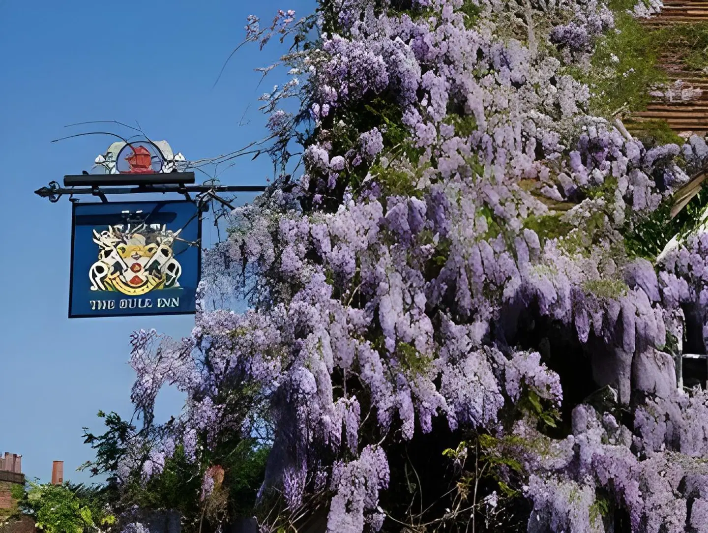 Bull Inn LANDSCAPE