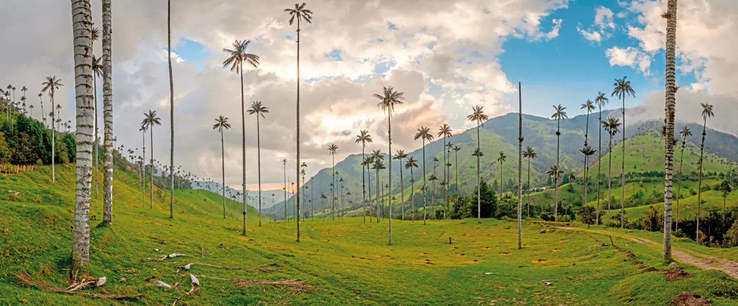 Einzigartiges Kolumbien LANDSCAPE